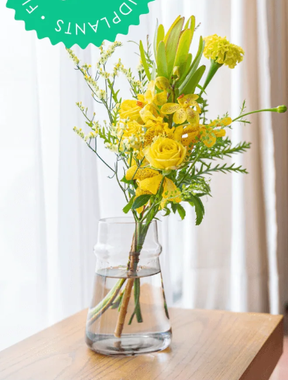 アンドプランツのお花の定期便:季節のお花のブーケ